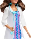 Barbie Careers Doctor Doll Set
