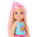 Barbie Family & Friends Club Chelsa